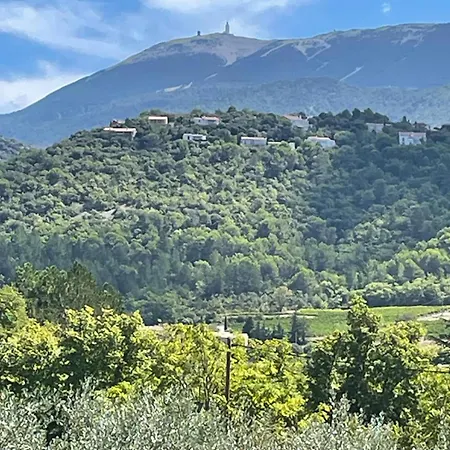 Les Cigales De * Mollans-sur-Ouvèze