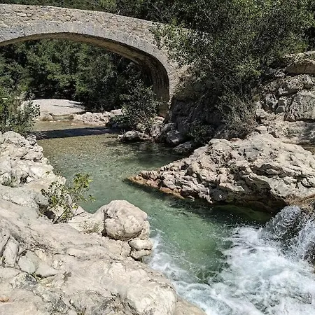 Les Cigales De * Mollans-sur-Ouvèze